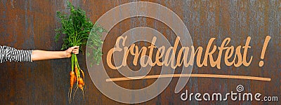 Erntedank Erntedankfest Hintergrund GruÃŸkarte Vorlage, religiÃ¶ser Feiertag - Junge MÃ¤dchen halten frisch geerntete Karotten in Stock Photo